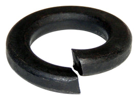 S0103336.jpg