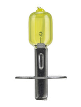 Load image into Gallery viewer, Photo - Unmounted