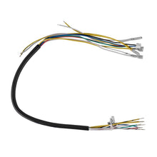 Load image into Gallery viewer, Photo - Primary