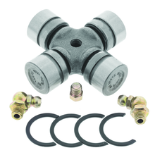 Load image into Gallery viewer, Photo - Primary