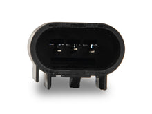 Load image into Gallery viewer, Photo - Close Up