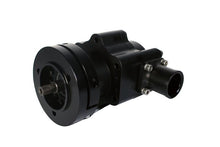 Load image into Gallery viewer, Photo - Primary