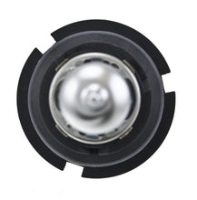 Load image into Gallery viewer, Photo - Unmounted