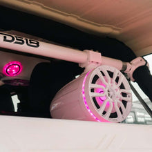 Load image into Gallery viewer, Photo - Primary