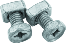 Load image into Gallery viewer, Photo - Primary