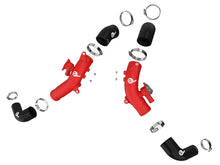 Load image into Gallery viewer, Photo - Unmounted