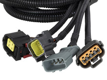 Load image into Gallery viewer, Photo - Unmounted