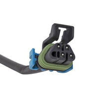 Load image into Gallery viewer, Photo - Unmounted