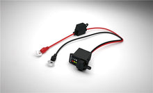 Load image into Gallery viewer, Photo - Primary