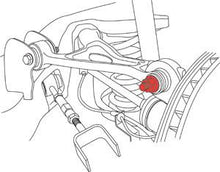 Load image into Gallery viewer, Photo - Primary