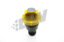 Load image into Gallery viewer, Photo - Primary