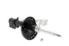 Load image into Gallery viewer, Photo - Primary