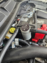 Load image into Gallery viewer, Photo - Close Up