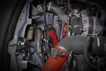 Load image into Gallery viewer, User 1