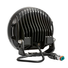 Load image into Gallery viewer, Photo - Unmounted