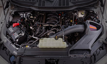 Load image into Gallery viewer, Photo - Mounted