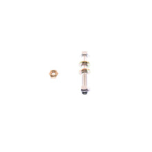 Load image into Gallery viewer, Photo - Unmounted