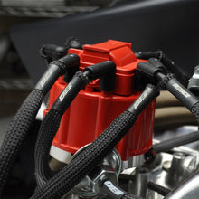 Load image into Gallery viewer, Photo - Mounted