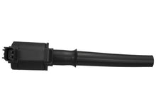 Load image into Gallery viewer, Photo - Unmounted