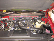 Load image into Gallery viewer, Photo - Mounted