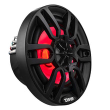 Load image into Gallery viewer, Photo - Primary