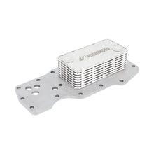 Load image into Gallery viewer, User 1