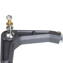 Load image into Gallery viewer, Photo - Close Up