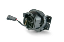 Load image into Gallery viewer, Photo - Unmounted