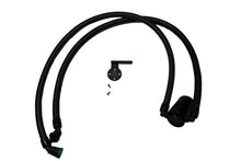 Load image into Gallery viewer, Photo - Primary