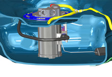 Load image into Gallery viewer, Photo - Close Up