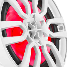 Load image into Gallery viewer, Photo - Primary