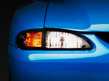 Load image into Gallery viewer, Photo - Primary